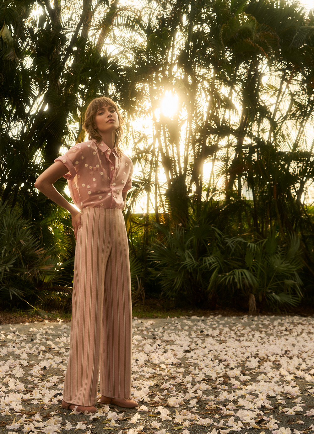 SED_FS26 Palm Beach 20