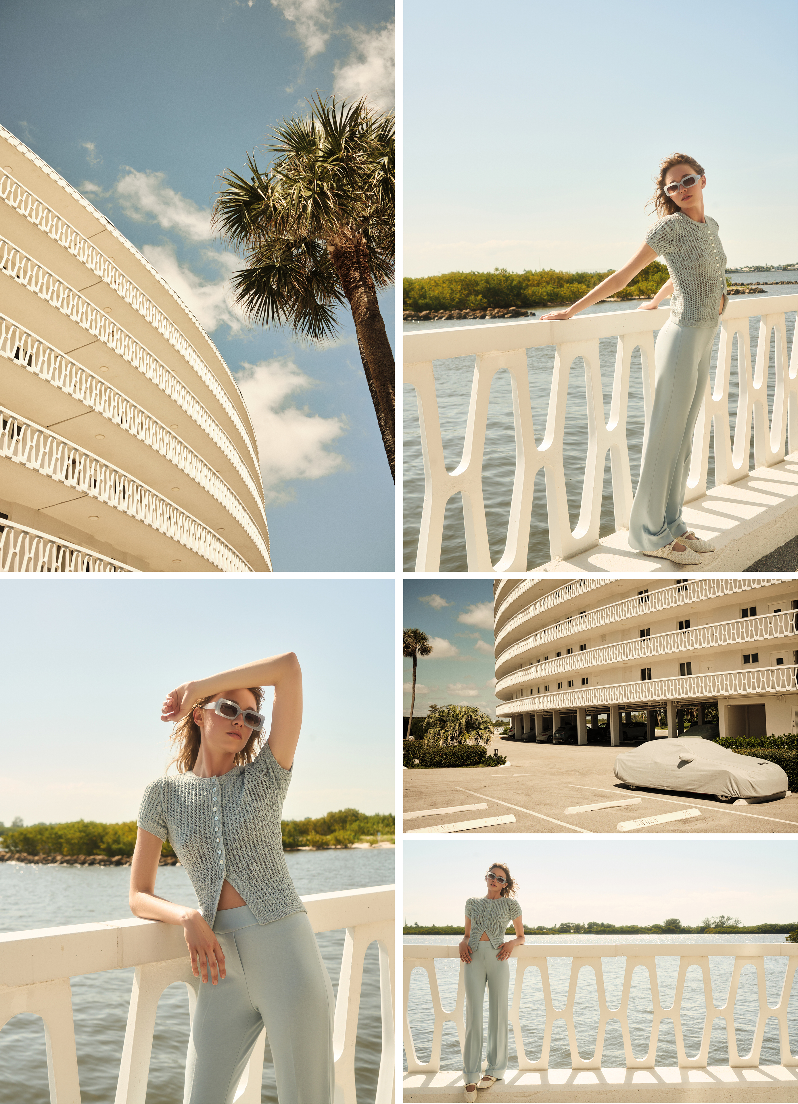 FS26_CollagePalmen_2